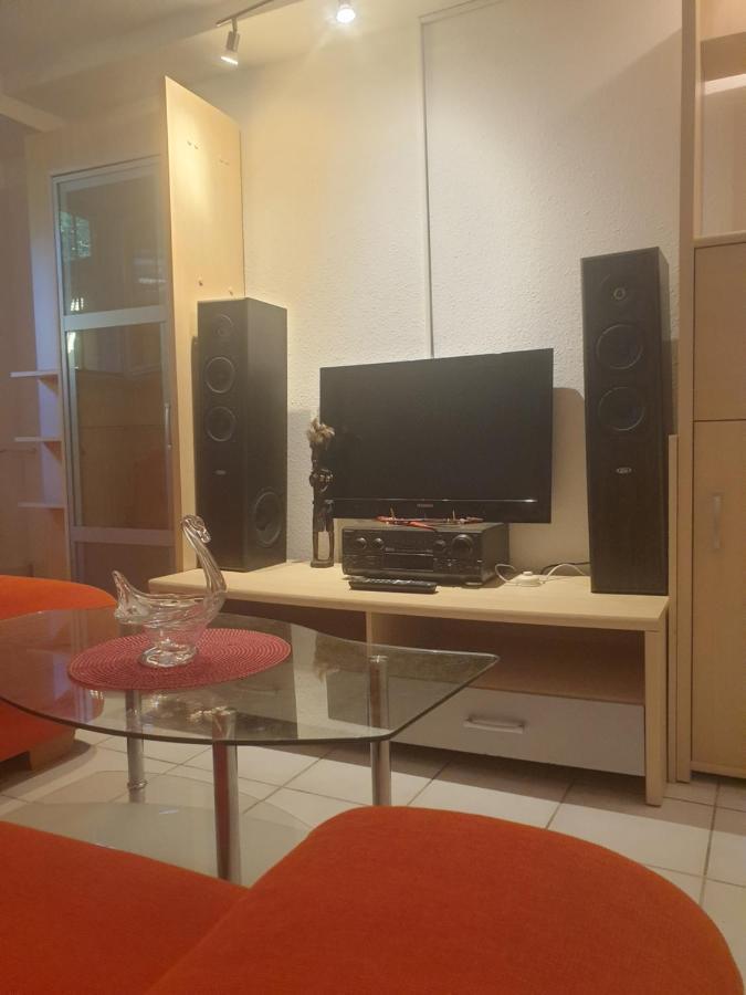Sions Grosse Ferienwohnung Ferienwohnung Mit 3 Schlafzimmer, 2 Km Bis Zum Europapark Rust Kappel-Grafenhausen Dış mekan fotoğraf